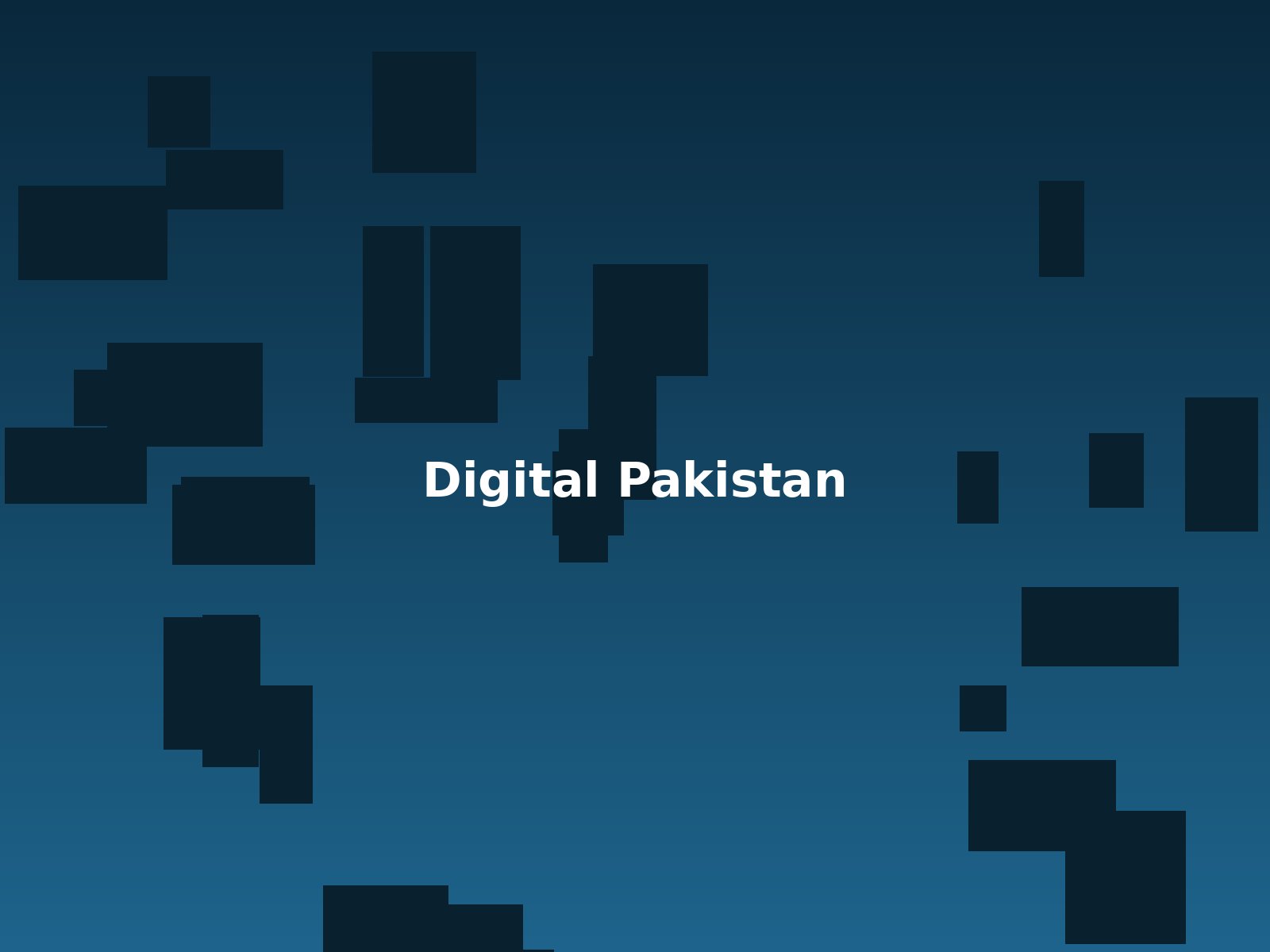 Pakistan Digital Economy