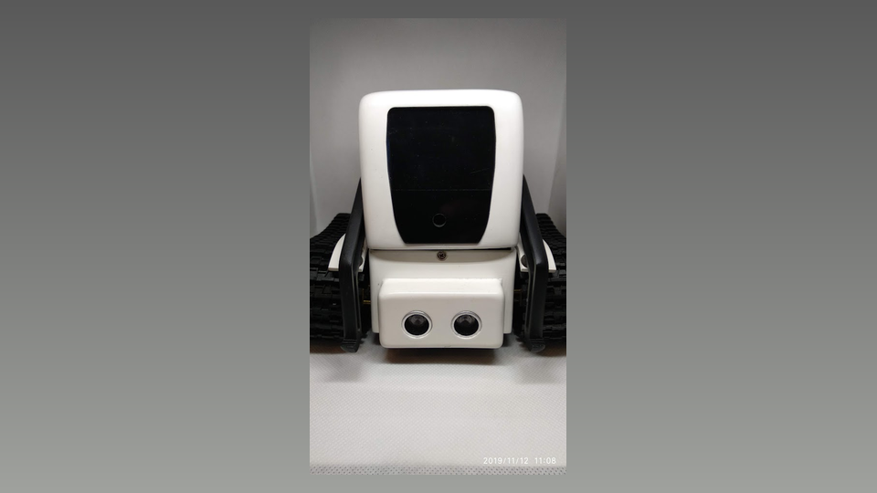 Buddy Bot